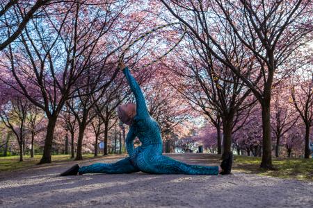 Spagaatti ja vanne kirsikkapuiden keskellä.