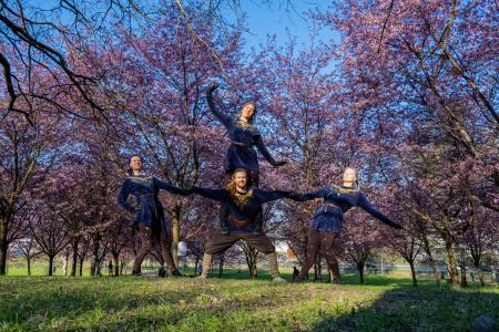 Neljän hengen ihmispyramidi kirsikkapuiden keskellä.