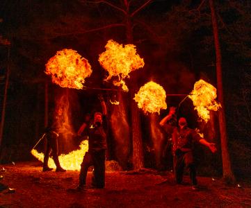 Leimahtavat kepit metsässä pimeää yötaivasta vasten.