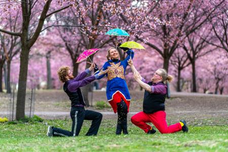 Kolme sateenvarjoa kirsikkapuita vasten.